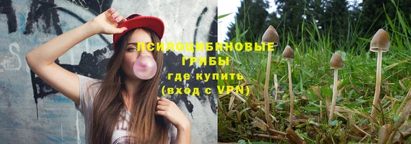 Альфа ПВП Козельск
