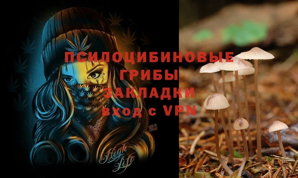 мяу мяу кристалл Козловка