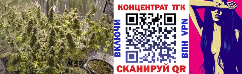 Купить где  Октябрьский  Дистиллят ТГК концентрат 