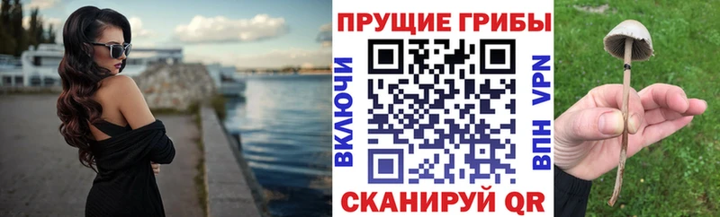 Купить  Октябрьский  Галлюциногенные грибы прущие грибы 